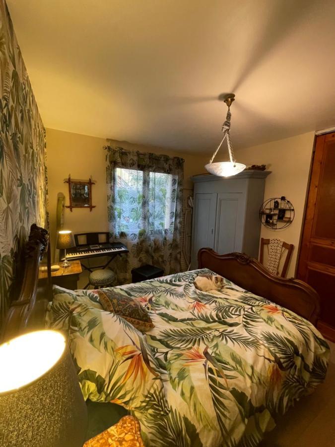 Duud Apartment Castanet-Tolosan Bagian luar foto